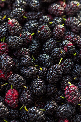 Macro photo of mulberry