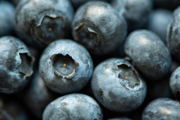 blueberries close up