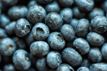blueberries close up