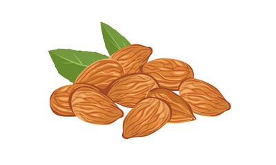 Heap of almonds isolated on white background. Vector illustration of nuts in cartoon flat style. Organic healthy food.