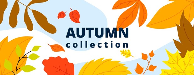 Fototapeta na wymiar Autumn leaves banner. Isolated leaf, october fall wind and foliage. Thanksgiving or new collection, season sale utter vector abstract poster