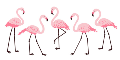 Set of pink flamingos. - 443378512
