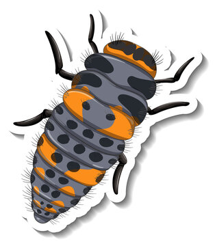 A sticker template with top view of a caterpillar isolated
