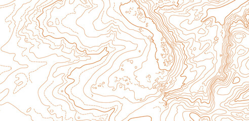 Abstract vector topographic map on white background