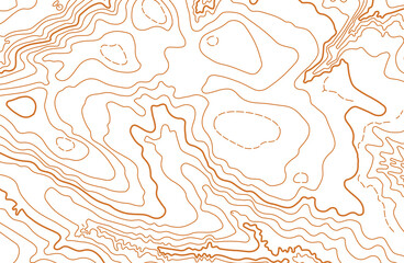 Abstract vector topographic map on white background