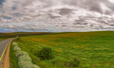 Obraz premium Farming landscape with road