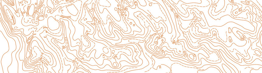 Abstract vector topographic map on white background