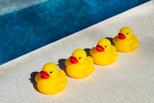 Patos do goma en fila al lado de la piscina al aire libre. Vista superior y de cerca
