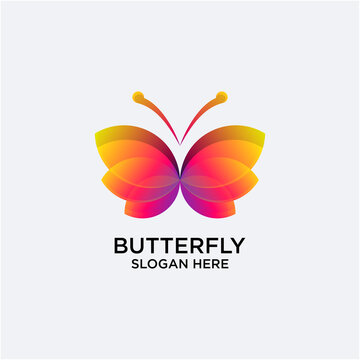 Butterfly Logo Gradient Color