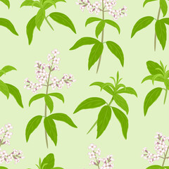 Verbena seamless pattern. Verbena branches with leaves and flowers on a green background. Botanical vector illustration in cartoon flat style.