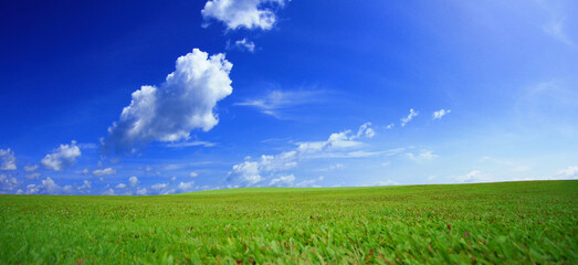 Fototapeta na wymiar Green meadows with blue sky