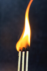 Group of a red match burning isolated with the background. Row burning matchstick in the chain reaction. Matchstick art photography.