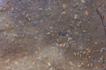 spilled gasoline rainbow background, industrial hazard spill pollution, abstract texture multicolored
