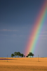 Rainbow landscape in the fields