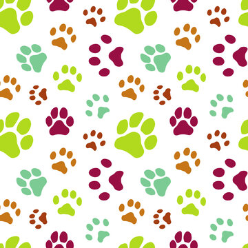 Animal footprint seamless pattern on white background
