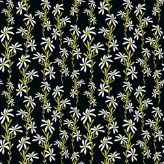 Daisy flower seamless pattern chamomile bouquet on black background