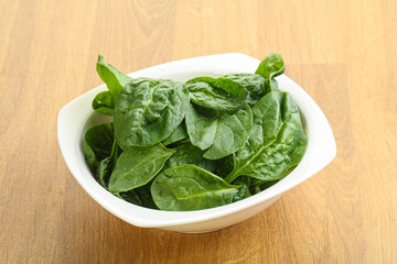 Fresh green spinach leaves in the bowl