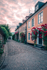 Fototapeta na wymiar Small cobblestoned alley bordered with cozy old houses and roses in full bloom during sunset in Lund Sweden