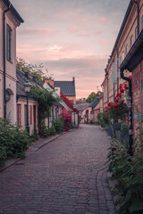 Cobblestoned street and colorful cottage houses in old town Lund Sweden during summer sunset
