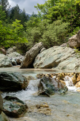 Fototapeta na wymiar A fast mountain river flows on a overcast, summer day (Peloponnese, Greece)