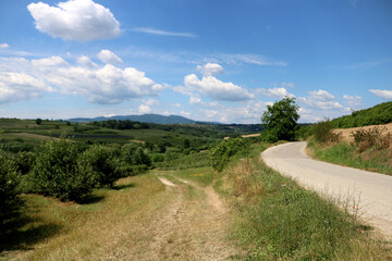 Fototapeta na wymiar Landscape of Serbia Mountain. Green meadows and hills under blue sky with clouds in springtime