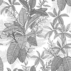 Ficus, palm leaves and tropical plants seamless pattern, tropical foliage, branch, greenery. Monochrome illustration