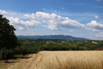 Fototapeta premium Landscape of Serbia Mountain. Green meadows and hills under blue sky with clouds in springtime