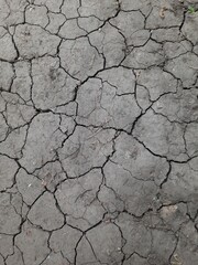 dry cracked earth