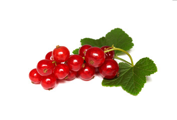 Red currant berries with green leaves close-up, isolate on a white background
