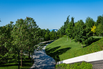 Landscape with rare deciduous ornamental trees and evergreens in Public City Park "Krasnodar" or "Galitsky Park". Multilevel landscape park. Park for recreation and walking. Spring 2021.