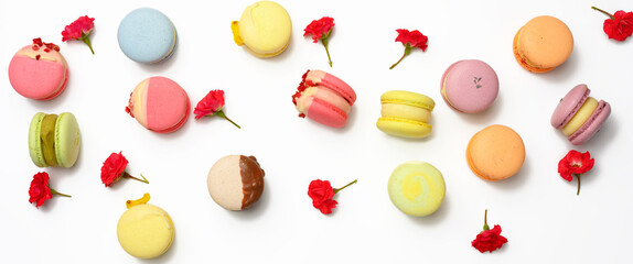 baked macarons with different flavors and rosebuds on a white background