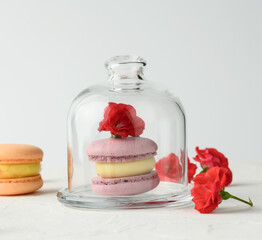 baked purple macarons lies under a transparent glass jar on a white background