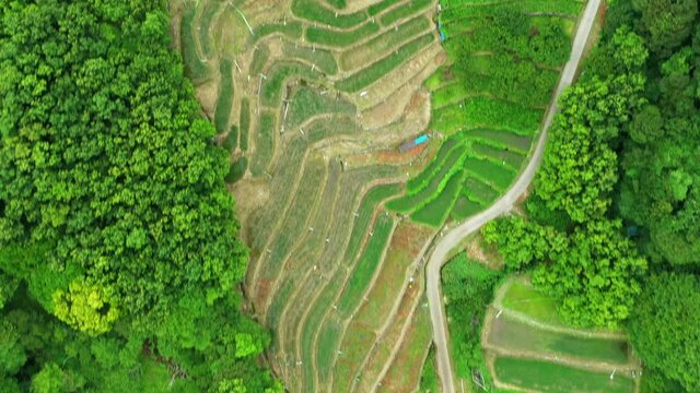 豆の小島　ドローン撮影