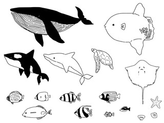 シンプルな海の魚たち © MariMizuta