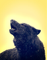 Portrait Howling wolf winter on yellow background in retro style