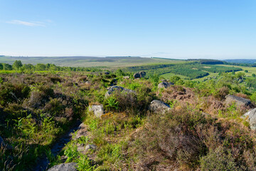 Gritstone rocks scattered amongst the heather of Birchen Edge in Derbyshire.