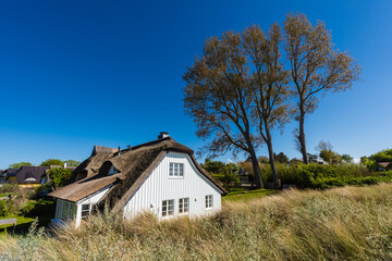 Fototapeta na wymiar Reetgedeckter Kotten (Haus) in den Dünen bei Ahrenshoop auf dem Darß; Deutschland