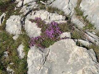Dinara mountain in Croatia landscape