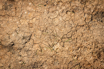 Abstract ground texture background