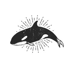 Logo of killer whale, flat orca for poster or icon © Podessto