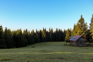 Cabin in the mountains