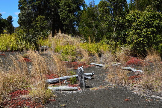 Lava Landschaft im Volcanoes National Park auf der Insel Big Island, Hawaii
