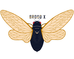 Digital painted brood x cicada illustration
