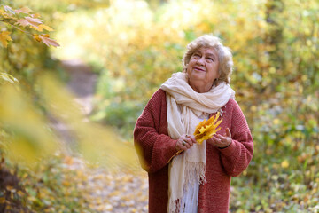 An elderly, happy woman walks in the autumn park. Old lady smiling, holding yellow autumn leaves in her hands. 