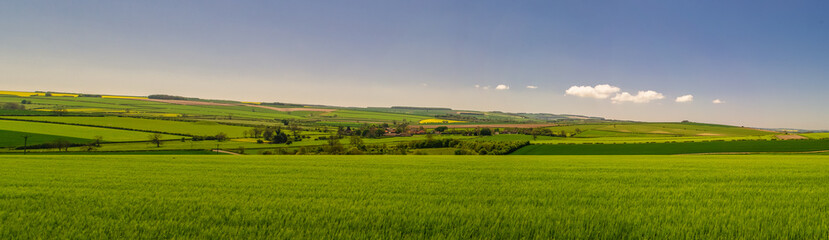 Panoramic view of the Yorkshire Wolds near Duggleby, North Yorkshire