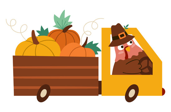 recommend clip art: Vector Thanksgiving turkey in pilgrim hat driving a car with pumpkins. Autumn bird icon. Fall holiday animal in a truck isolated on white background. Harvest gathering concept.