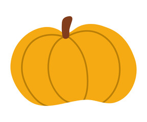 Vector cute pumpkin. Autumn vegetable. Flat style orange squash. Funny veggie harvest illustration isolated on white background. Traditional thanksgiving food or Halloween symbol