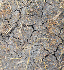 Arid ground, dry, cracked soil, lack of moisture.