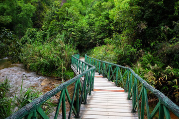 Beautiful nature forest with green wooden bridge over the stream is path way into the jungle on mountain at Thailand