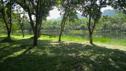 Walking through the grass lawn under shade of lush greenery in the park to take the view of beautiful natural pond. Move forward to see the beauty of lagoon under morning sunlight.